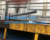 EN10083-3 P355HL1 P460NH Alloy Steel Seamless Steel Tubes